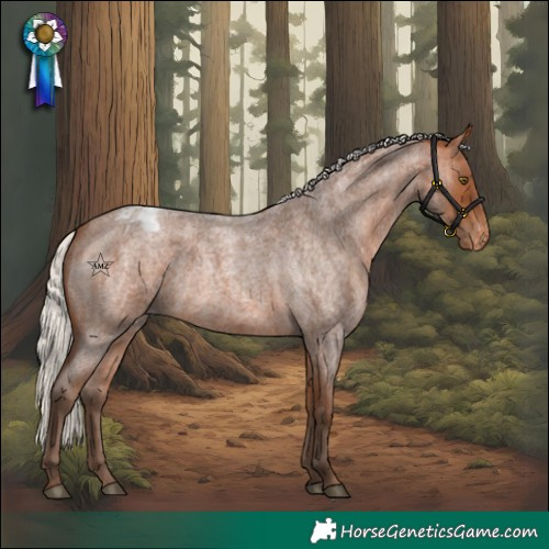 Horse Color:Silver Bay Roan Blanket Rabicano