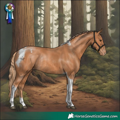 Horse Color:Chestnut Tobiano Blanket Rabicano