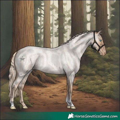 Horse Color:Chocolate Palomino Roan Pearl Tobiano Varnish Rabicano