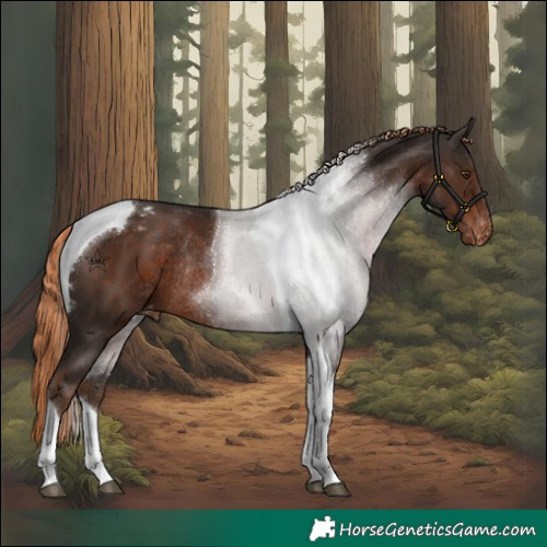 Horse Color:Liver Chestnut Tobiano Varnish Rabicano