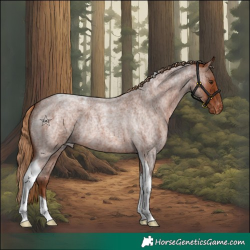 Horse Color:Red Roan Tobiano Varnish Rabicano 