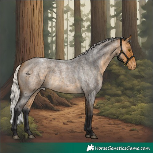 Horse Color:Silver Buckskin Roan Varnish Rabicano