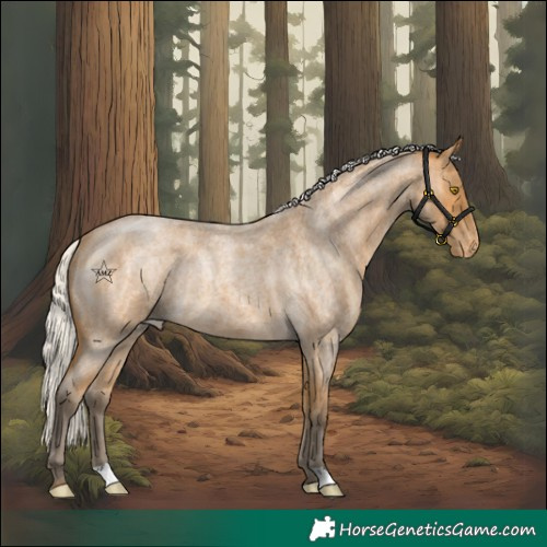 Horse Color:Silver Buckskin Roan Varnish Rabicano