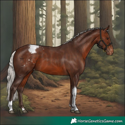 Horse Color:Silver Bay Tobiano Snowcap Rabicano 