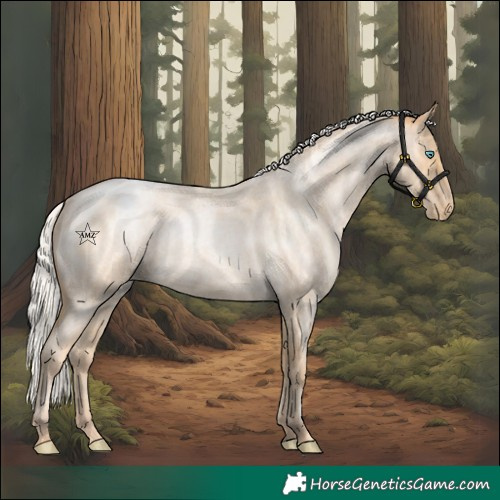 Horse Color:Silver Buckskin Roan Pearl Snowcap Rabicano 