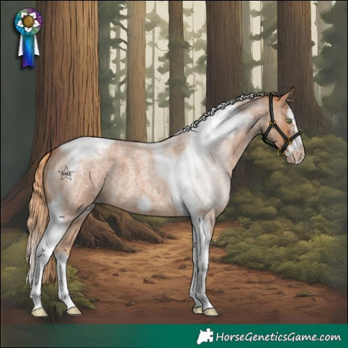 Horse Color:Red Roan Splash Tobiano Frame Snowcap 