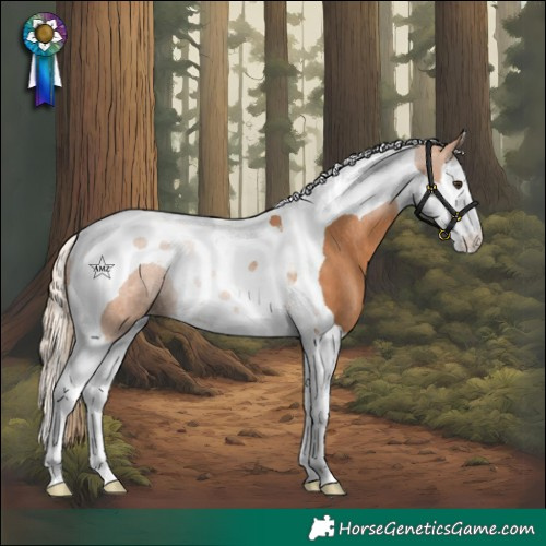 Horse Color:Chestnut Splash Tobiano Blanket Rabicano