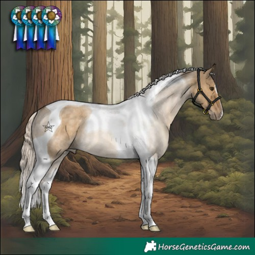 Horse Color:Chocolate Palomino Dun Tobiano Rabicano 