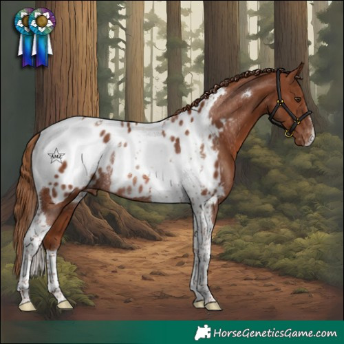 Horse Color:Chestnut Tobiano Blanket Rabicano 