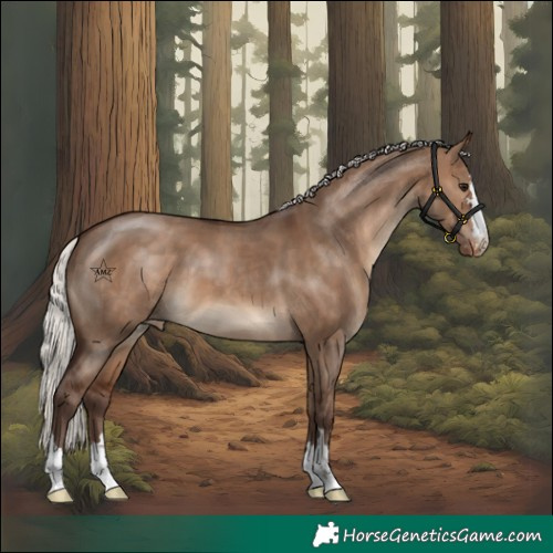 Horse Color:Silver Brown Dun Varnish 