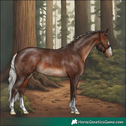 Horse Color:Silver Brown Varnish