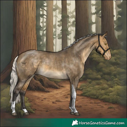Horse Color:Silver Buckskin Dun Tobiano Varnish