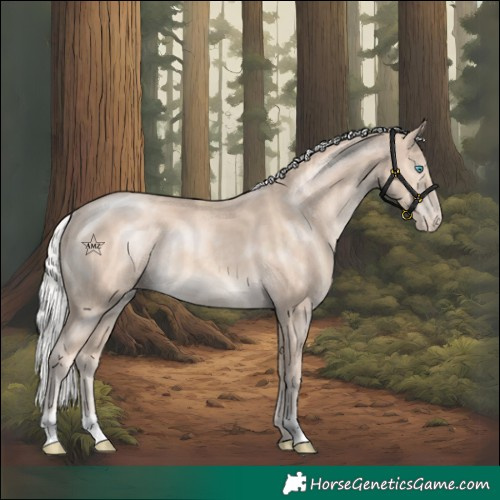 Horse Color:Silver Perlino Varnish Rabicano