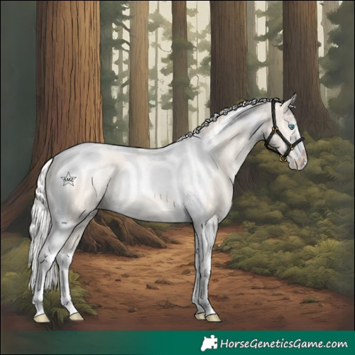 Horse Color:Silver Perlino Dun Tobiano Varnish 