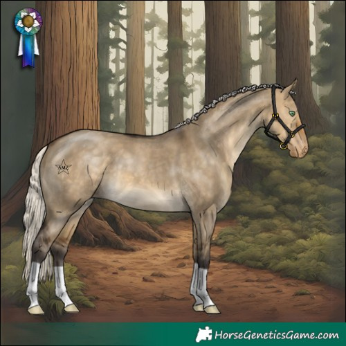 Horse Color:Silver Buckskin Dun Varnish 