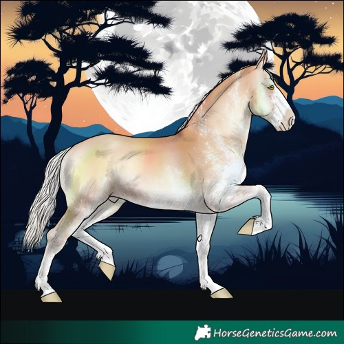 Horse Color:White Spotted Silver Amber Champagne Onyx
