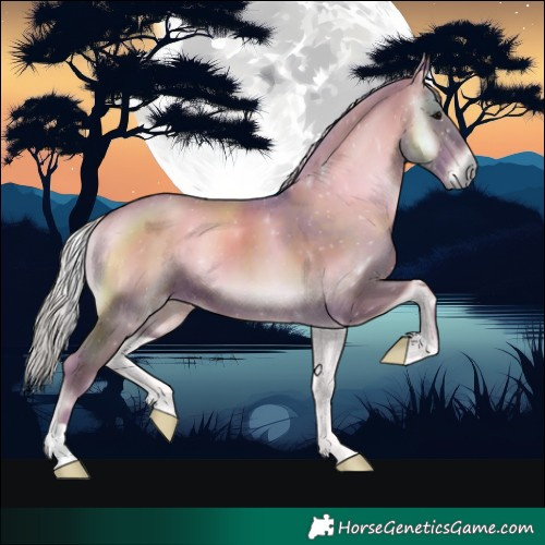 Horse Color:Watercolor Silver Blue Onyx 