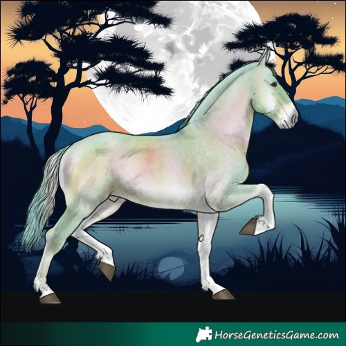 Horse Color:Watercolor Red Onyx Roan