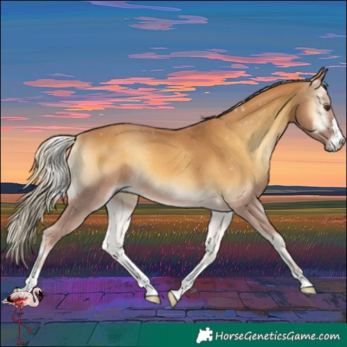 Horse Color:Palomino Onyx