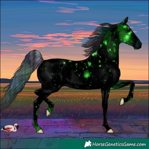 Horse Color:ERROR: UNKNOWN ANOMALY