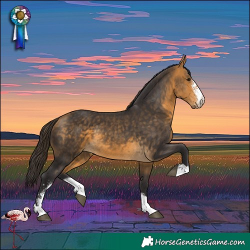 Horse Color:Buckskin Sabino
