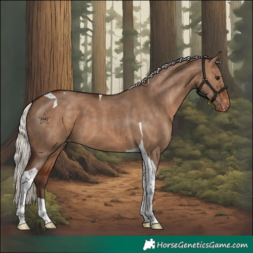 Horse Color:Silver Bay Dun Tobiano Varnish 