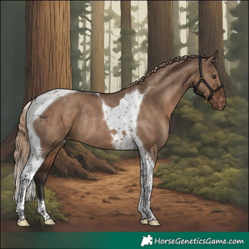 Horse Color:Liver Red Dun Tobiano Varnish Rabicano 