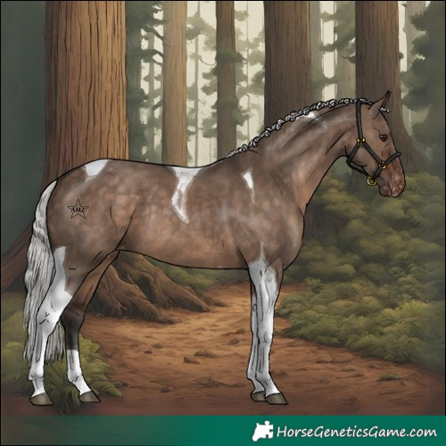 Horse Color:Silver Brown Dun Tobiano Varnish Rabicano