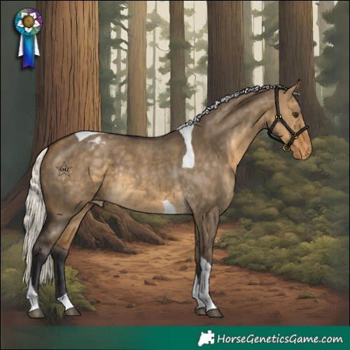 Horse Color:Silver Buckskin Dun Tobiano Varnish Rabicano 