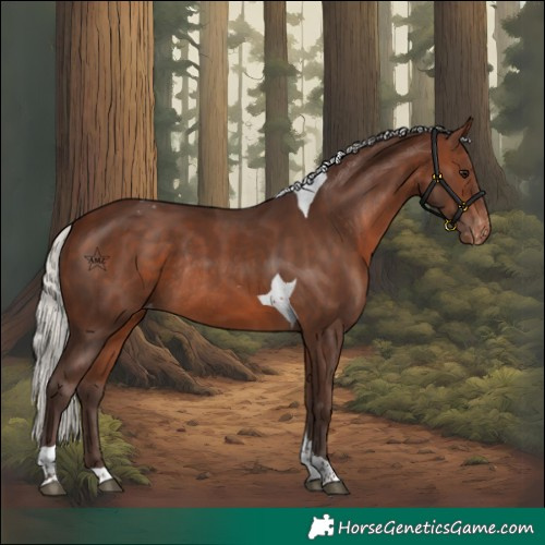 Horse Color:Silver Brown Tobiano Varnish Rabicano