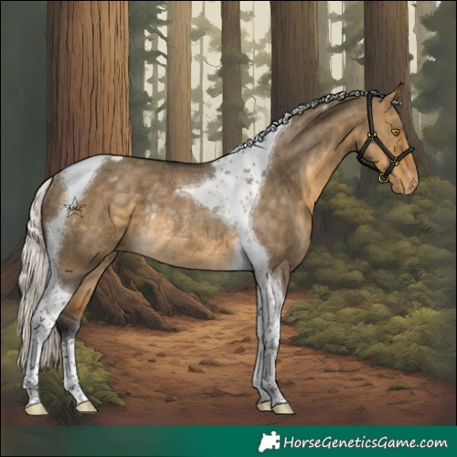 Horse Color:Silver Buckskin Dun Tobiano Varnish Rabicano