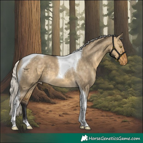 Horse Color:Silver Buckskin Dun Tobiano Varnish 