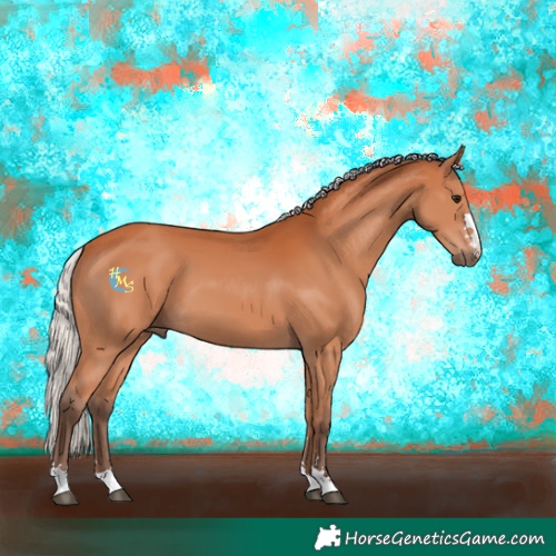 Horse Color:Silver Bay 