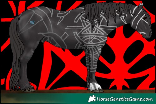 Horse Color:Smoky Black 