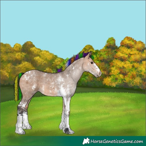 Horse Color:Painted Bay Dun Sabino Tobiano