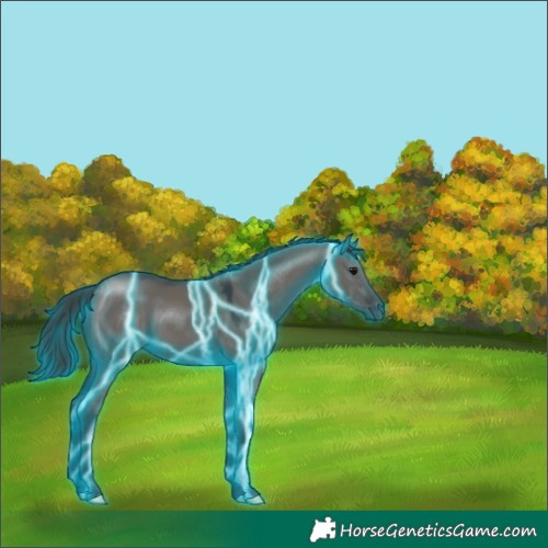 Horse Color:Thunderstruck Smoky Grullo