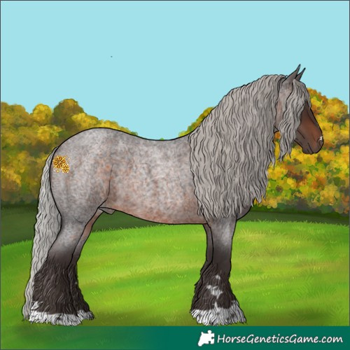 Horse Color:Silver Brown Roan