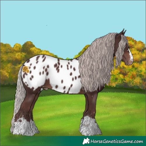 Horse Color:Chocolate Silver Brown Near Leopard 