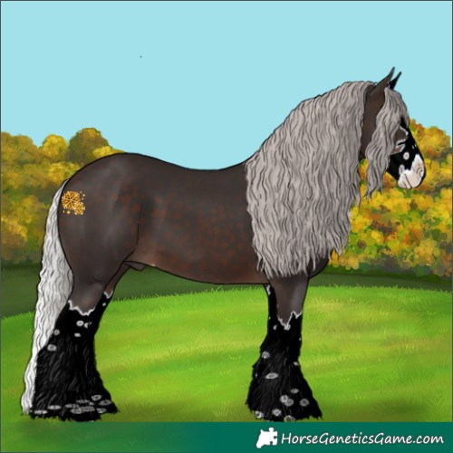 Horse Color:Silver Brown Splash