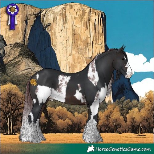 Horse Color:Chocolate Brown Sabino  and Brown 