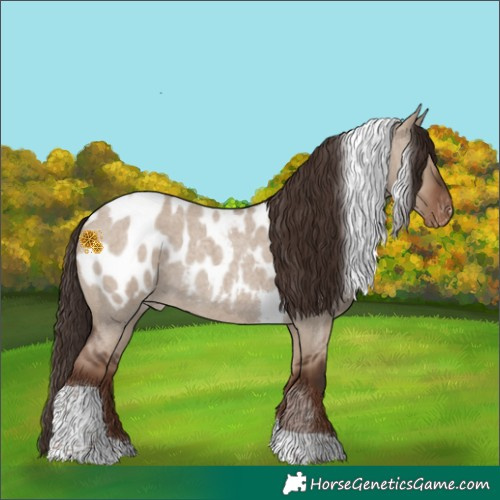 Horse Color:Liver Red Dun Roan Tobiano Near Leopard