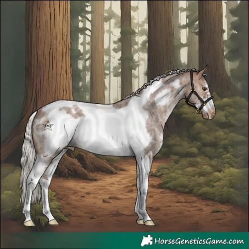 Horse Color:Silver Bay Dun Sabino Tobiano Frame Varnish Rabicano 