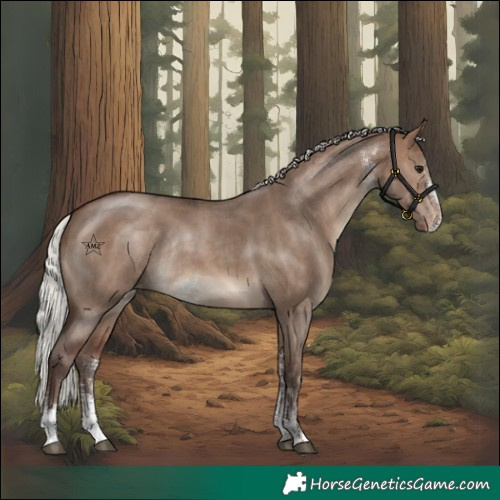 Horse Color:Silver Brown Dun Sabino Varnish Rabicano 
