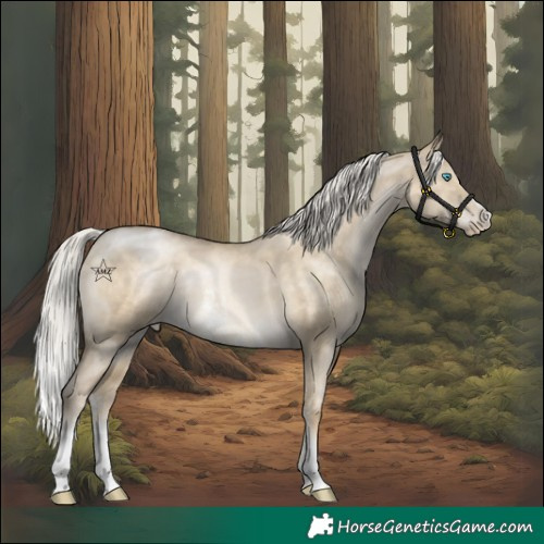 Horse Color:Silver Buckskin Pearl Dun Sabino Varnish Rabicano