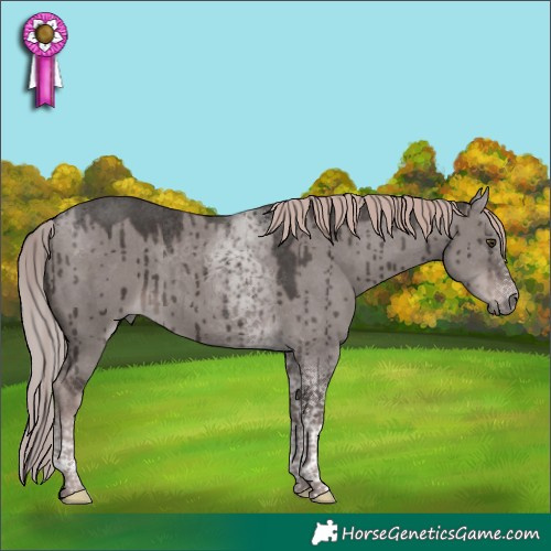 Horse Color:Platinum Liver Red Dun Tobiano Brindle 
