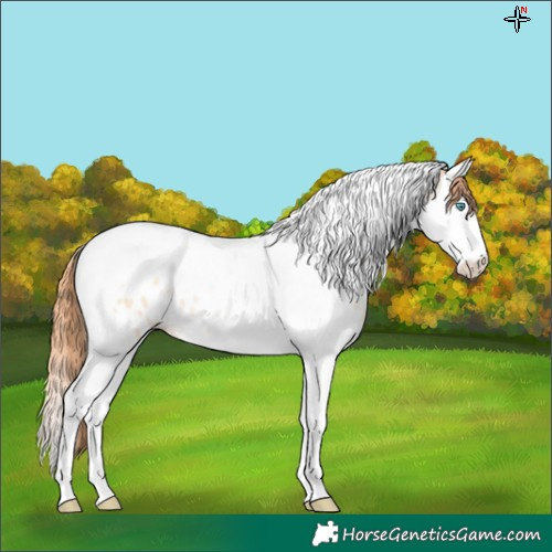 Horse Color:Sable Cream Champagne Pearl Splash Tobiano Near Leopard 