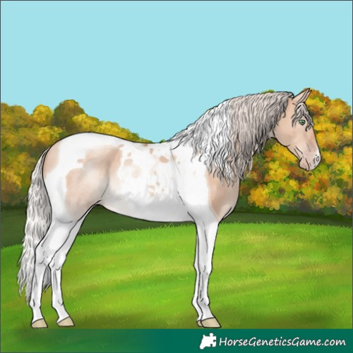 Horse Color:Silver Sable Champagne Dun Tobiano 