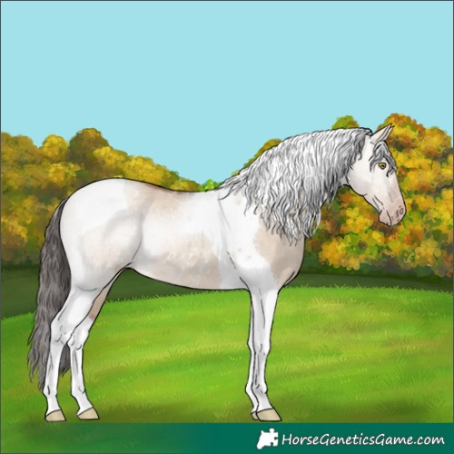 Horse Color:Sable Champagne Dun Tobiano Rabicano 
