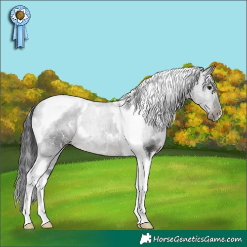 Horse Color:White Spotted Black Tobiano