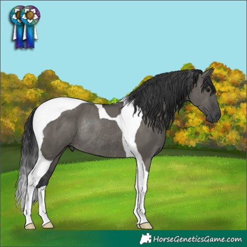 Horse Color:Grullo Tobiano Rabicano